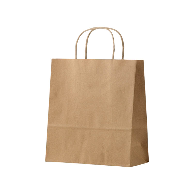 Large Paper Bags Twisted Handles 340x480mm Brown - 50/Pack