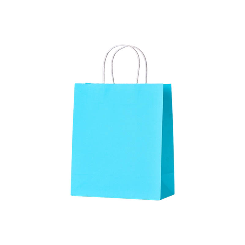 Medium Paper Bags Twisted Handles 260x320mm Light Blue - 50/Pack - dimensions