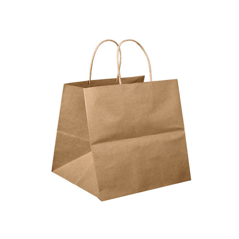 Medium Paper Bags Twisted Handles 305x305mm Brown - 50/Pack